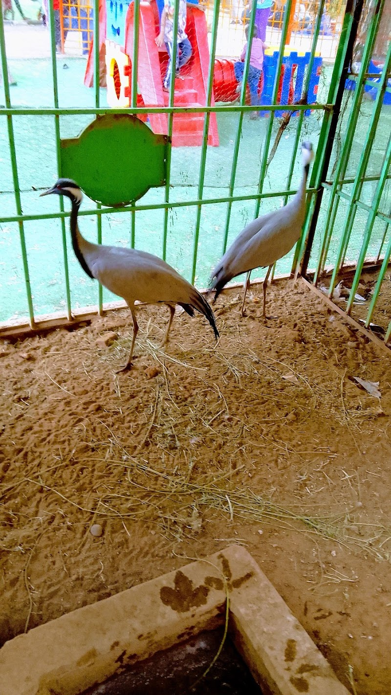 سوق العامرية 4