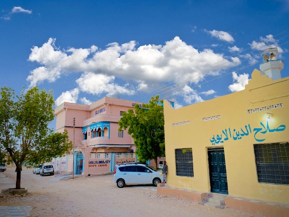 جامعة جليس بوساسو