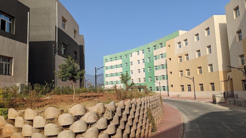 كلية الأدب واللغات - البوني (الجديدة) 2