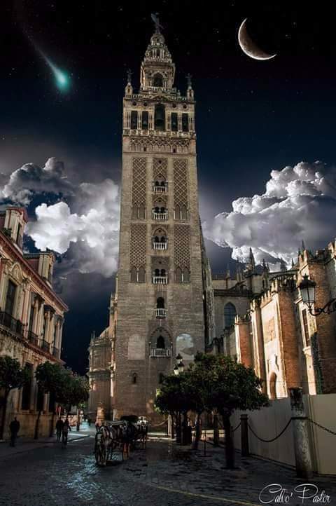 ساحة جامع الفنا 3