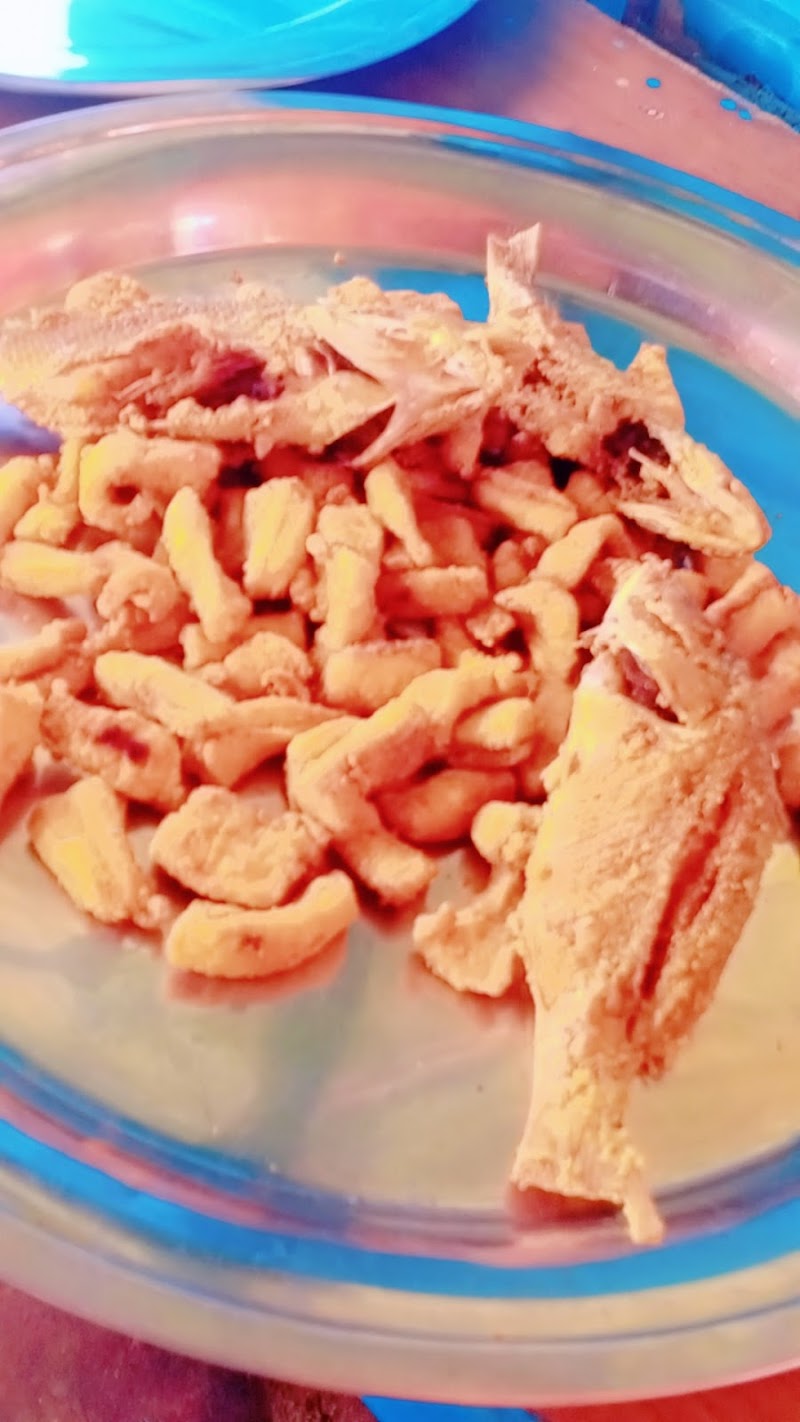 كفتريا عثمان 2