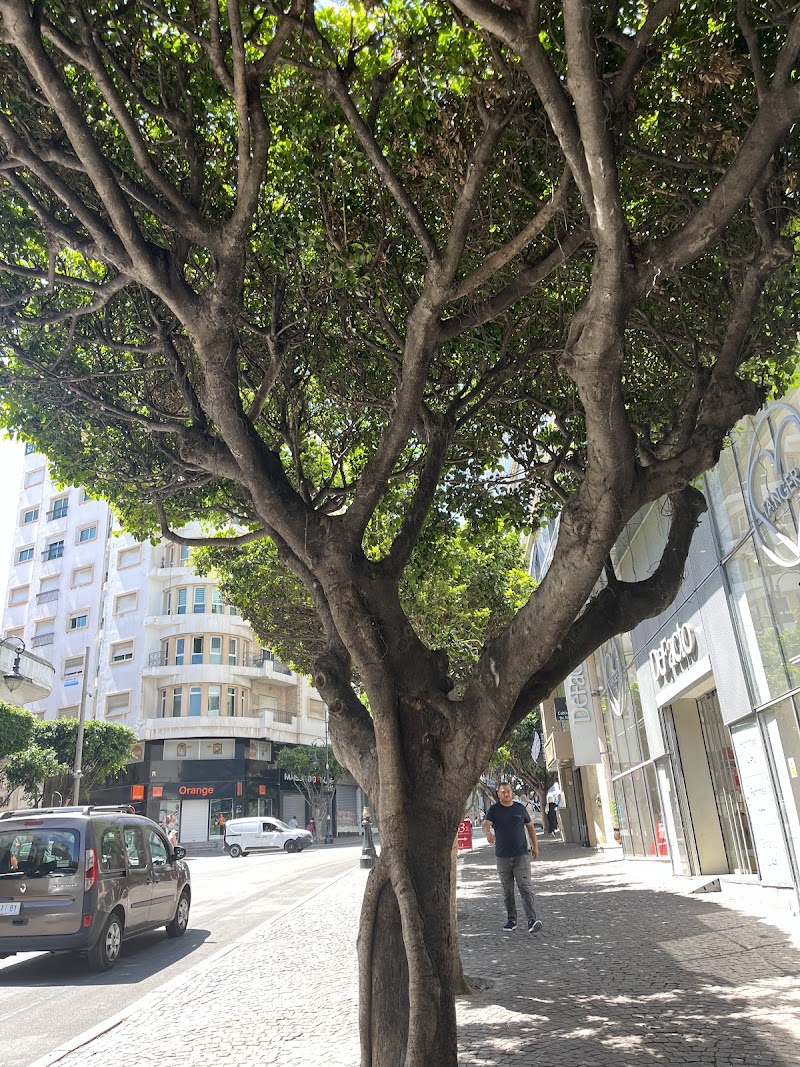 نقطة معلومات 2