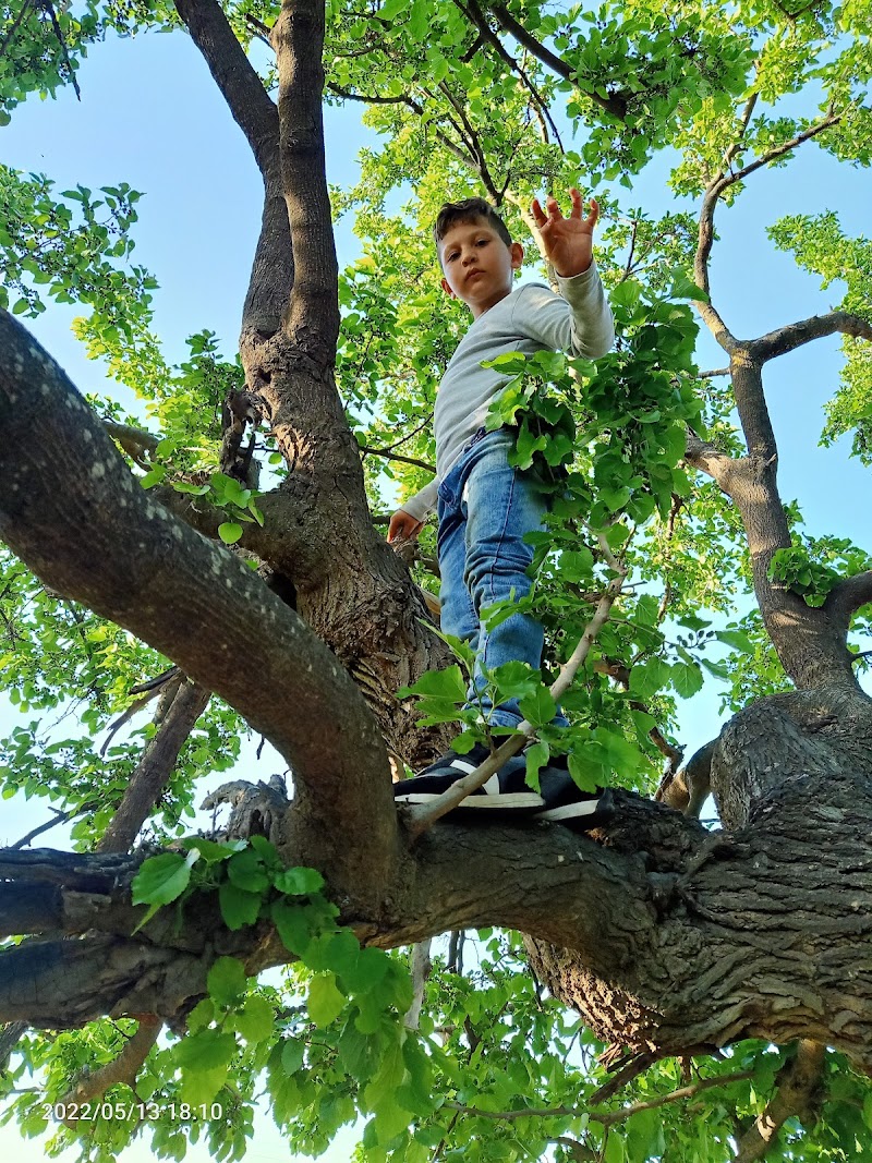 غابة المريج قسنطينة