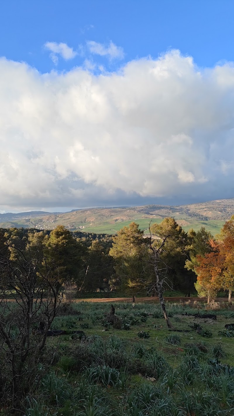 غابة المريج قسنطينة 3