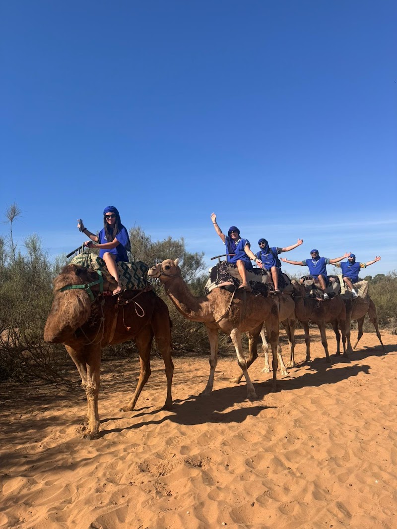ركوب الجمال والخيول في أغادير