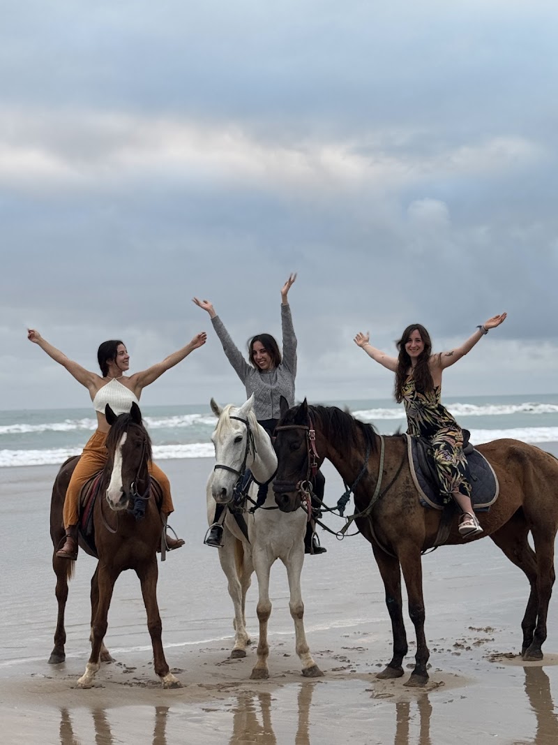 ركوب الجمال والخيول في أغادير 4