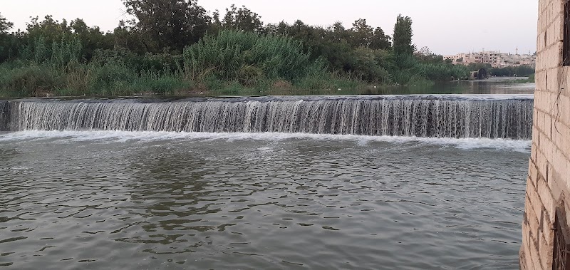 بستان القطان 2