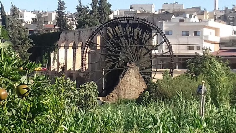 بستان القطان 3