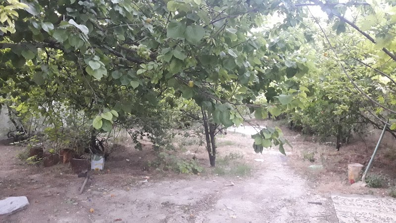 بستان القطان 4