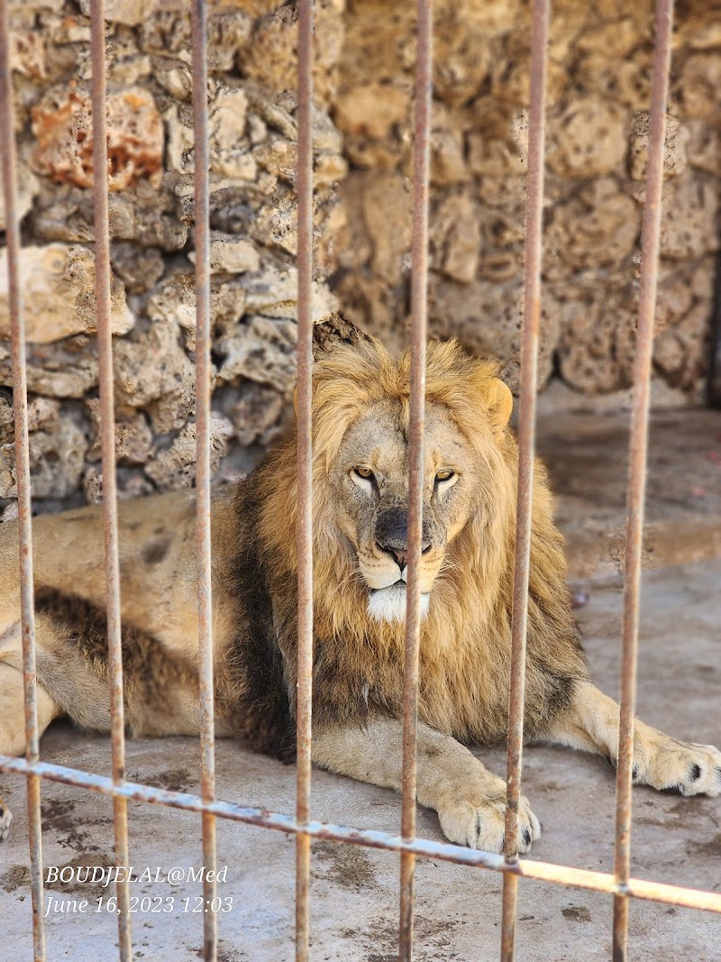 حَدِيقَة حَيَوَانِ وَهْرَانَ 2