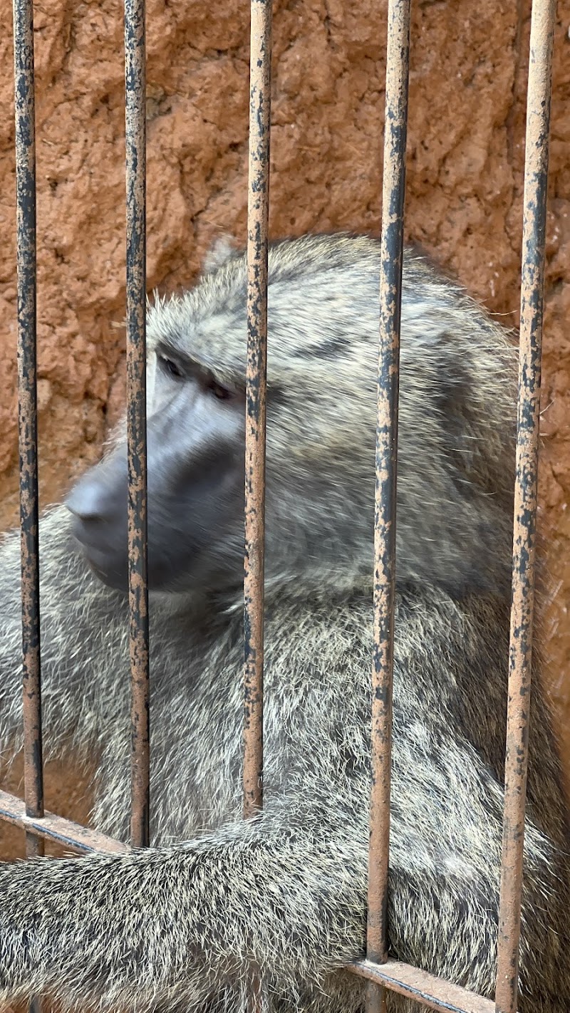 حَدِيقَة حَيَوَانِ وَهْرَانَ 3