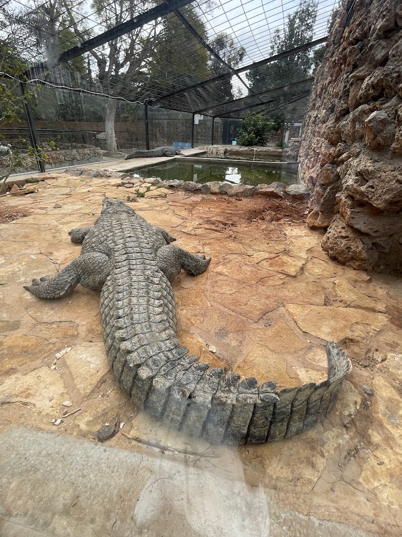 حَدِيقَة حَيَوَانِ وَهْرَانَ 4