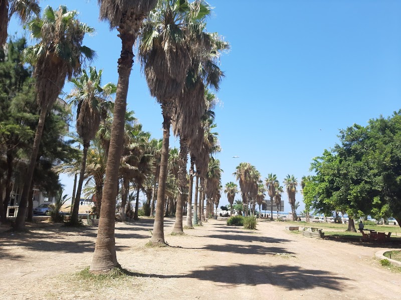 حديقة الطلائع