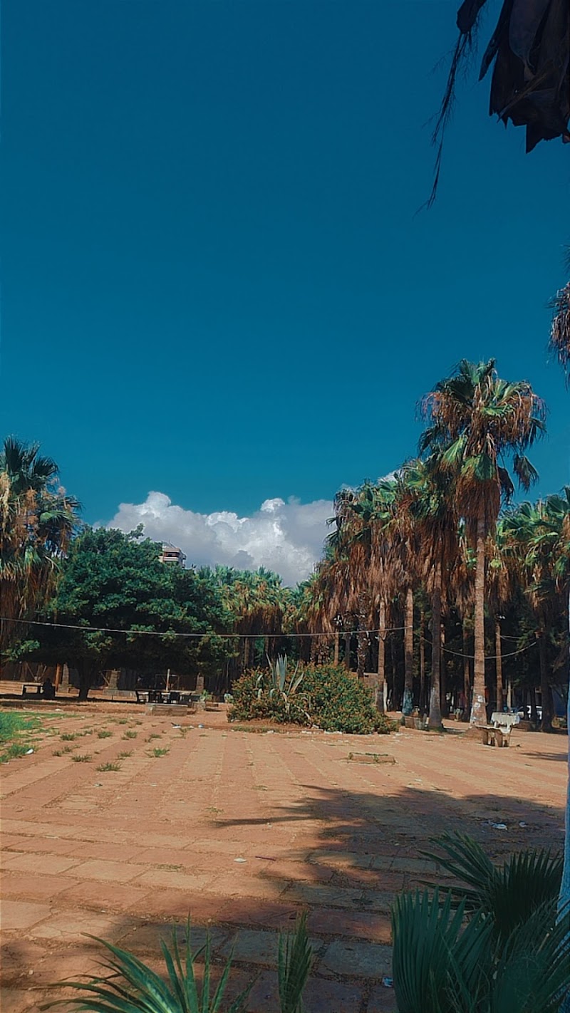 حديقة الطلائع 3