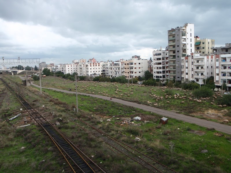 حديقة الطلائع 4