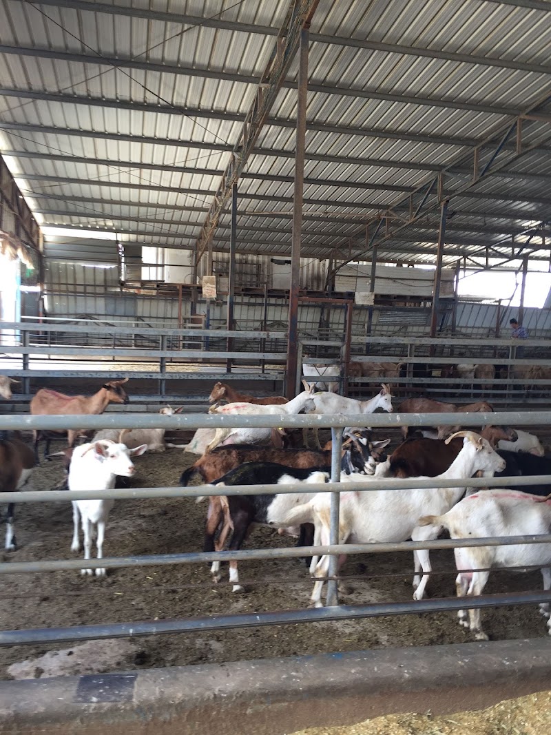 سياحة الخليل 7