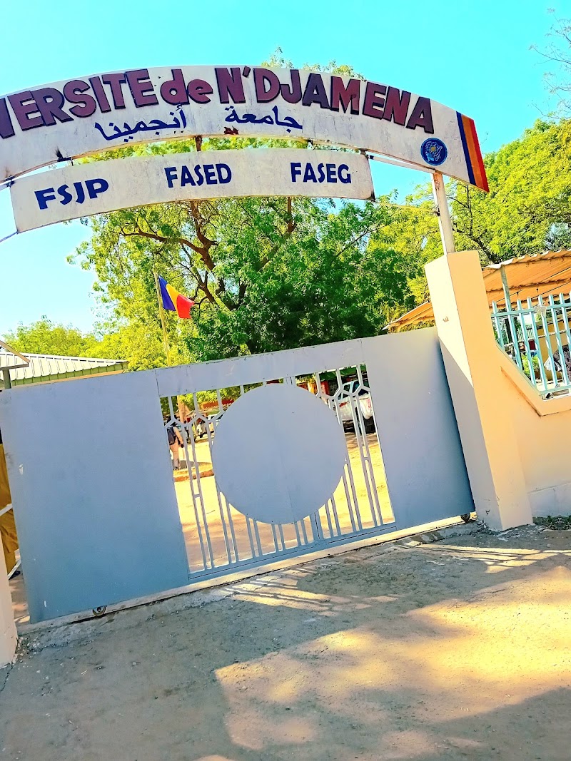 جامعة نجامينا