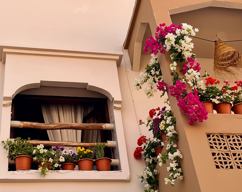 بيت ركوب الأمواج أنكر 3