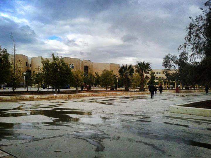 كلية الهندسة 2