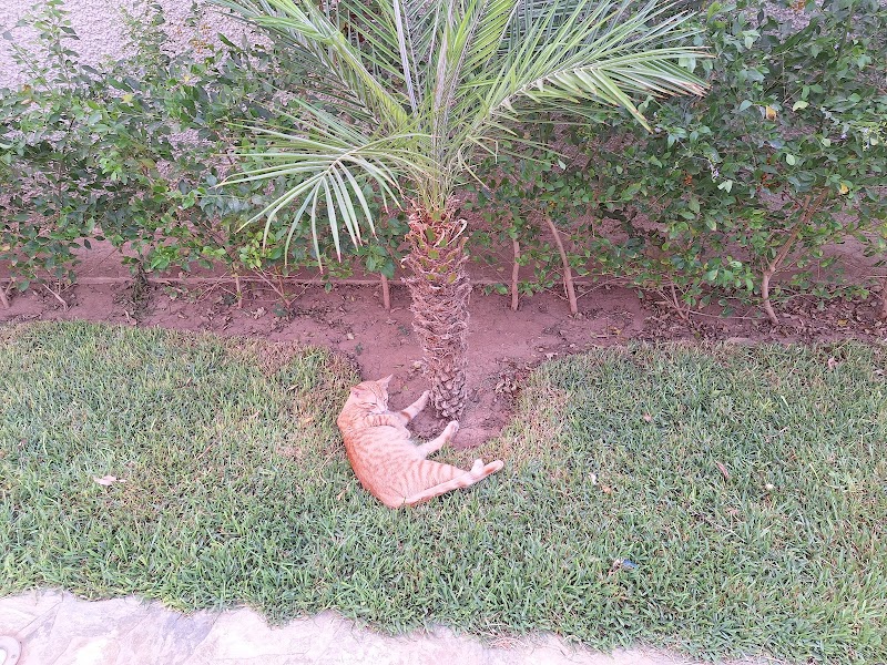 حديقة رياض إيسلي 2 2