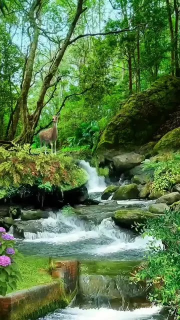 فريزغي مبرهتو 3