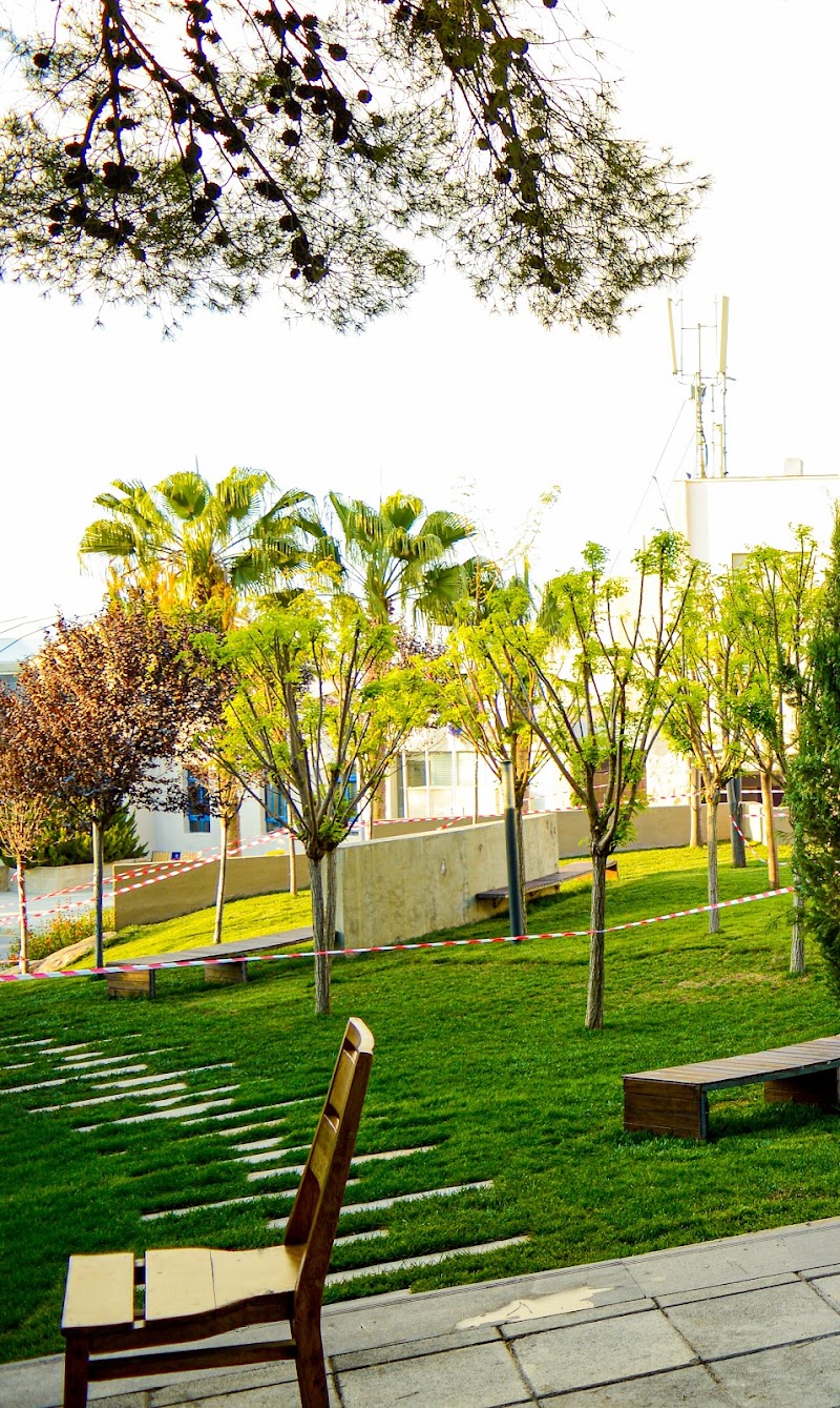 جامعة الأميرة سمية للتكنولوجيا 3