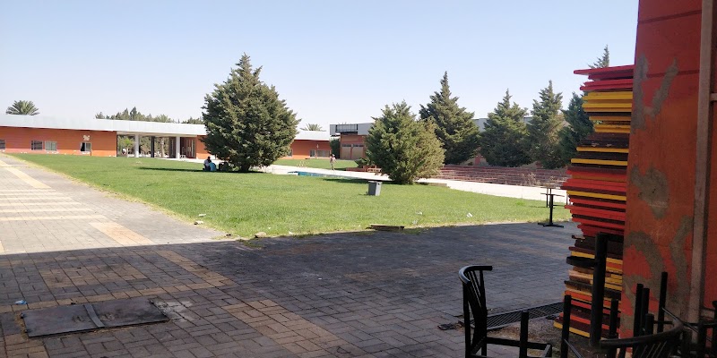 الجامعة العربية الدولية 3