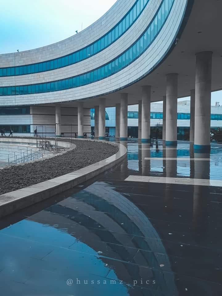 الجامعة العربية الدولية 4