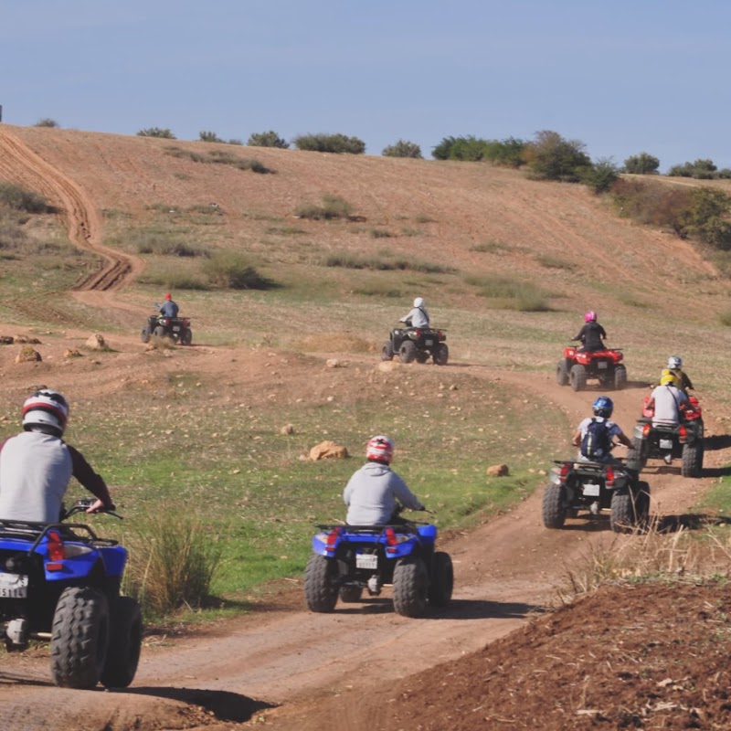 هابي كواد فاس