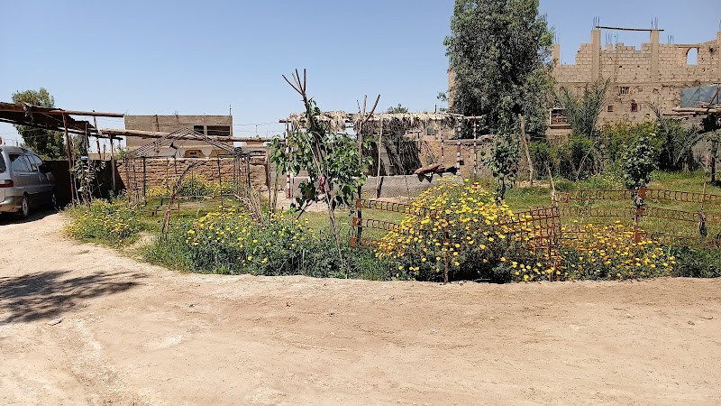 سوريا- دير الزور