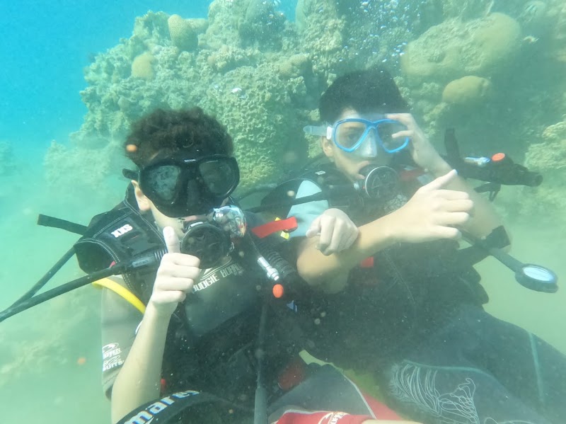 مركز غوص أسماك القرش العقبة