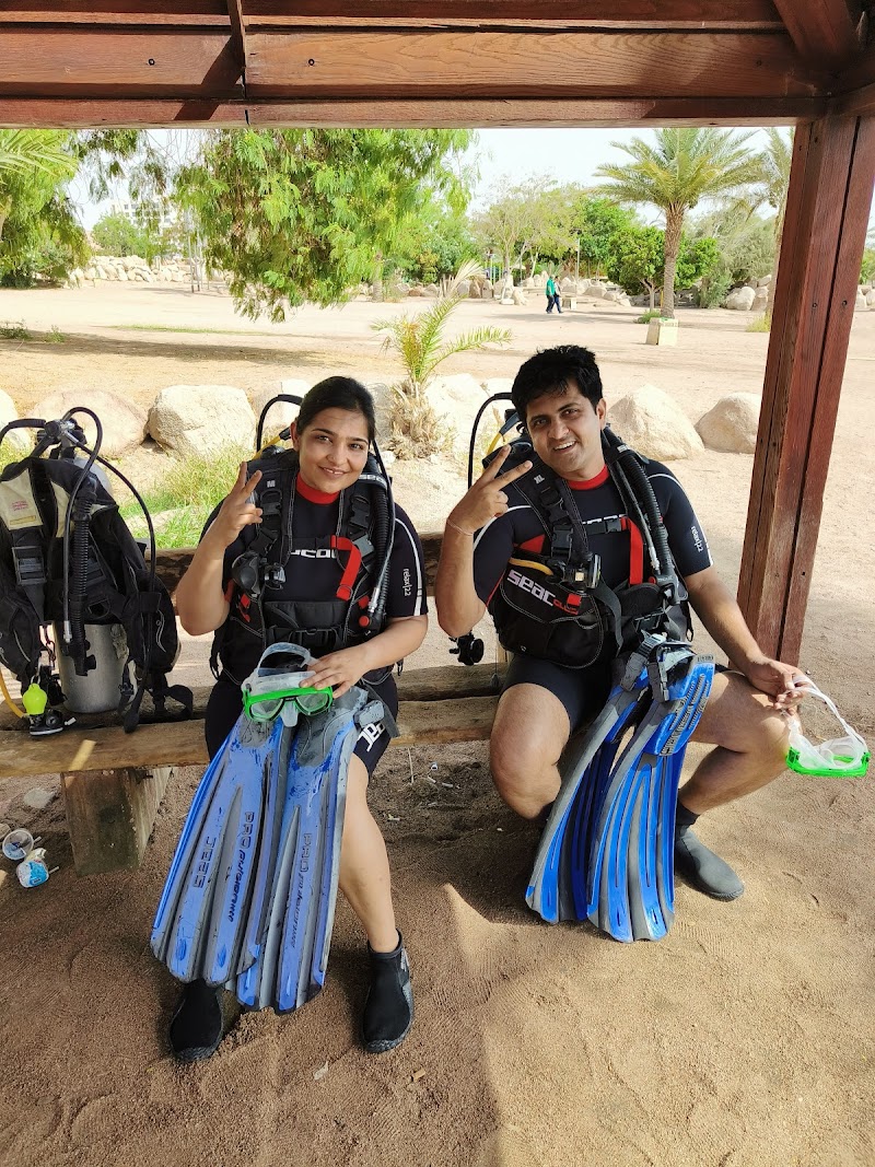 مركز غوص أسماك القرش العقبة 3