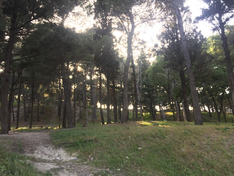 غابة طنجة البالية