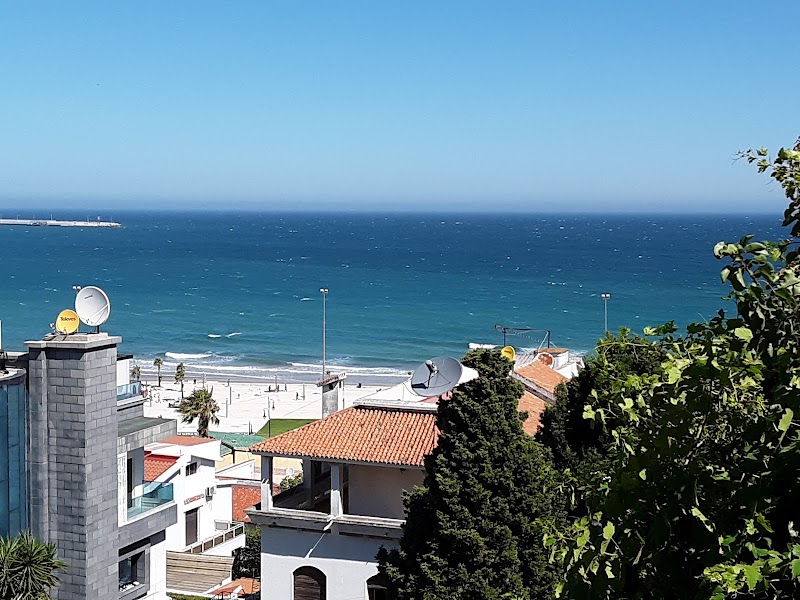 غابة طنجة البالية 2