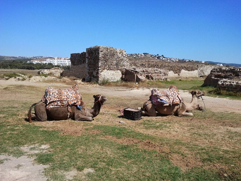 غابة طنجة البالية 3