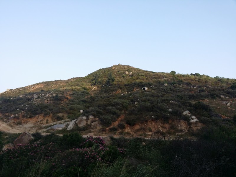 غابة طنجة البالية 4