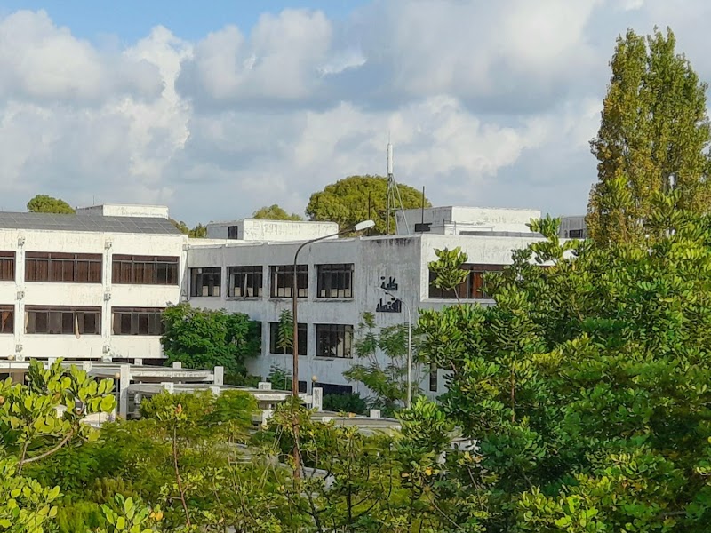 كلية الأقتصاد 2