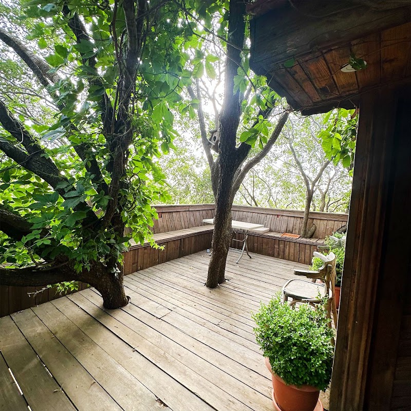 البيت الأخضر 4