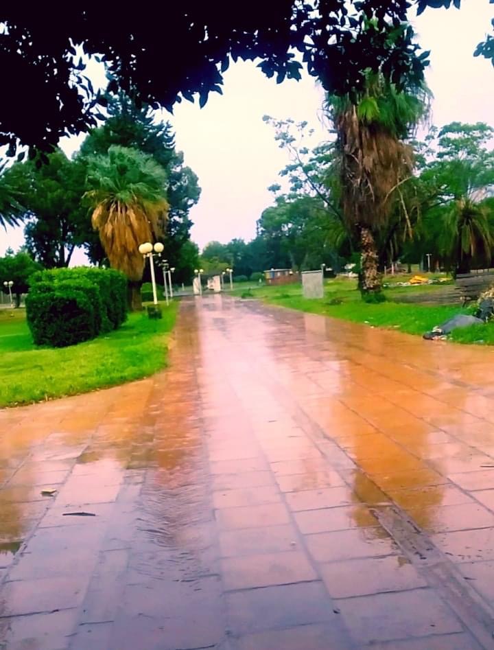 حديقة الجلاء 3