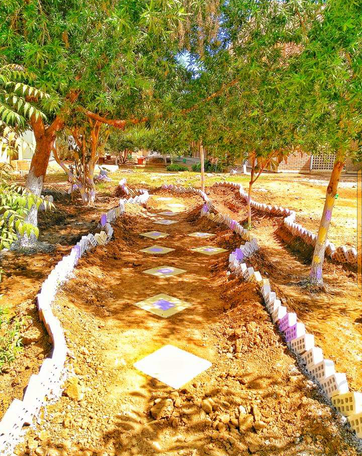 كليه الهندسه جامعه كسلا 2