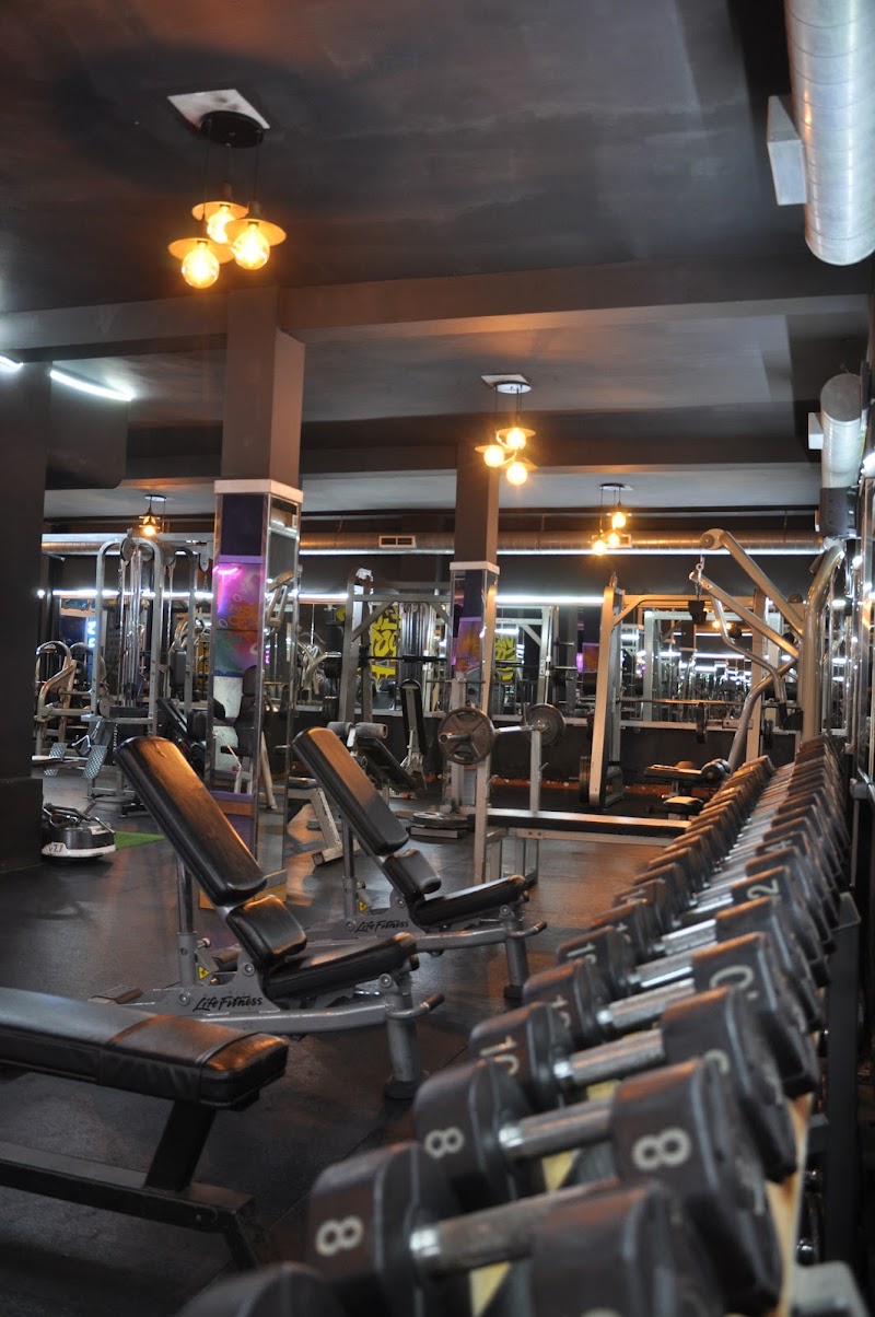 نادي نيد سبورت (جم، لياقة، كيك بوكسينغ) 2