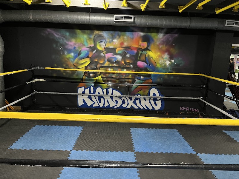 نادي نيد سبورت (جم، لياقة، كيك بوكسينغ) 3