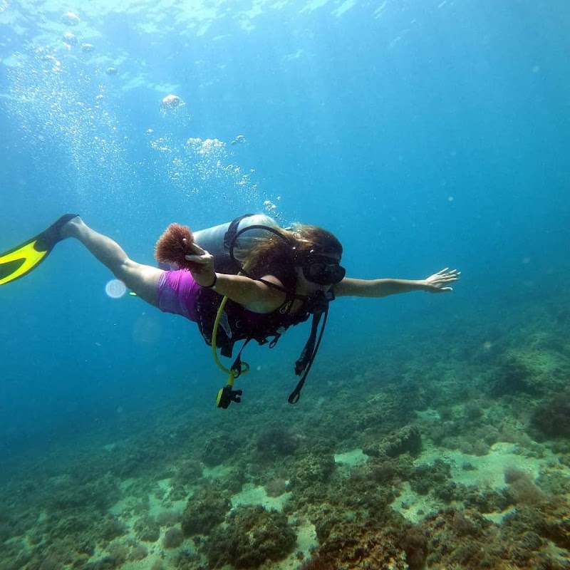 مركز لبنان للغوص