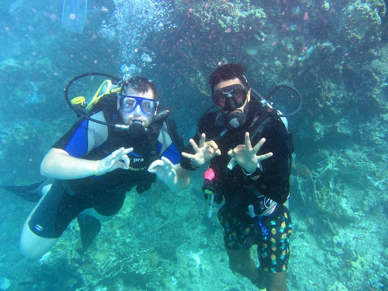 نادي الغوص كلية البحر