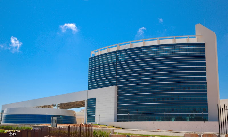 كلية الحقوق - جامعة الجزائر 1