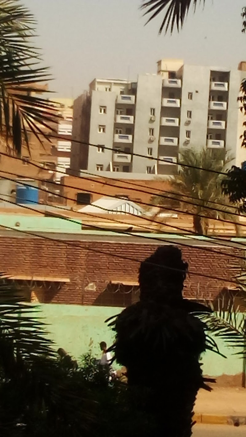 برج البنك النيل - المقر الرئيسي 3