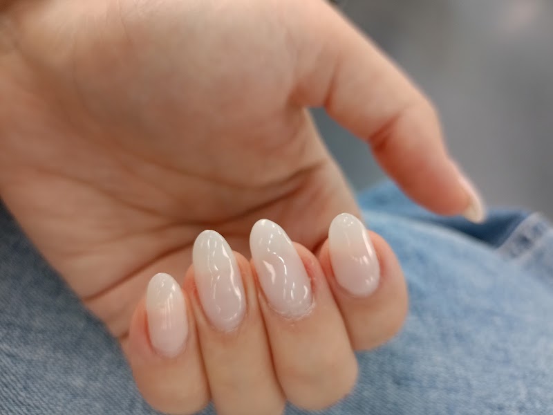 بلوم سبا الرباط 4