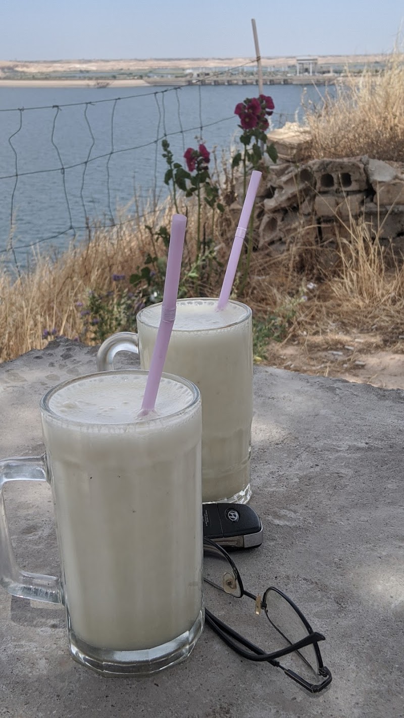 كيفتريا فرات روز 4