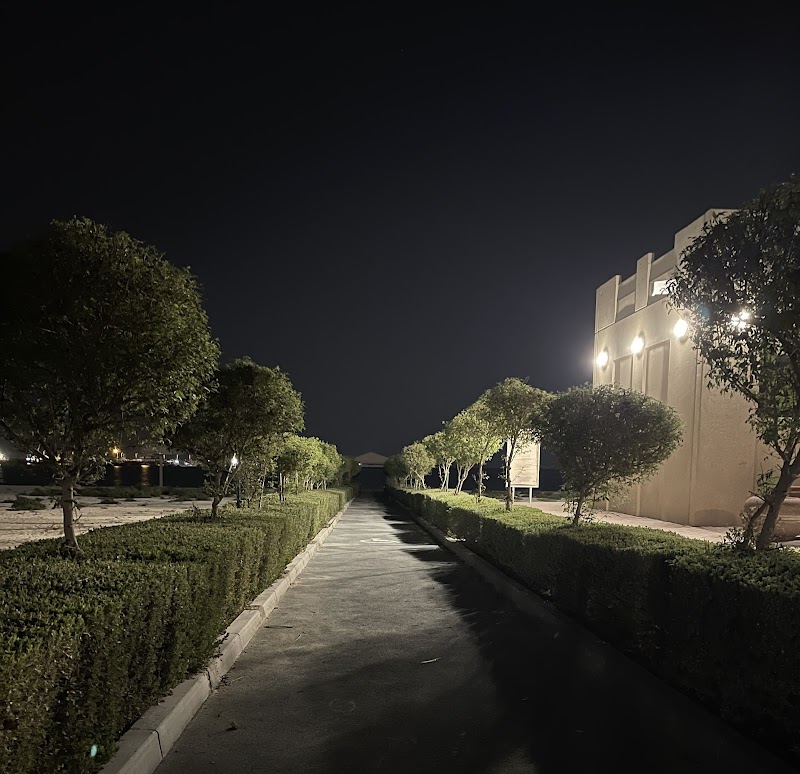 الشاطئ العام في الوكرة