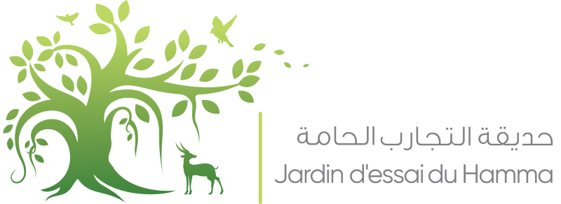 حديقة الحامة